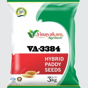 VA-3384 Hybrid Paddy Seeds