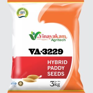 VA-3229 Hybrid Paddy Seeds