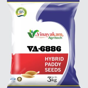 VA-6886 Hybrid Paddy Seeds