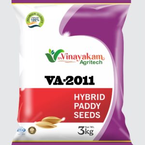 VA-2011 Hybrid Paddy Seeds